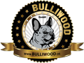 Bulliwood